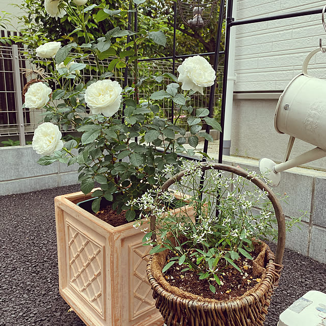 sariさんの実例写真
