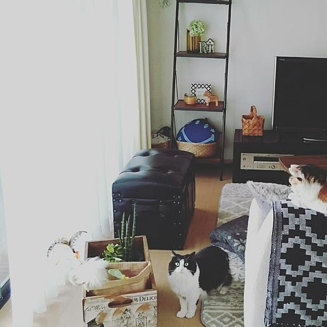 sumosarozaさんの実例写真