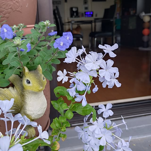 NOAHさんの部屋