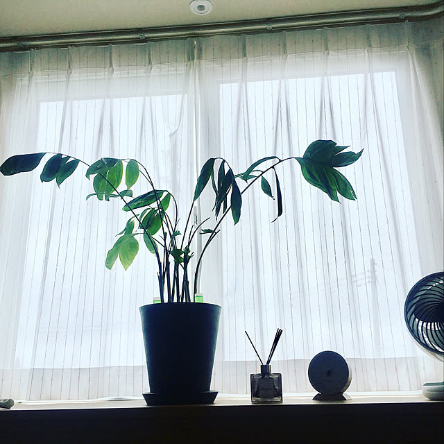 ryu-eiさんの実例写真