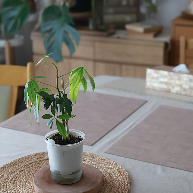 Summerさんの部屋