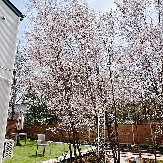 chanduさんの実例写真