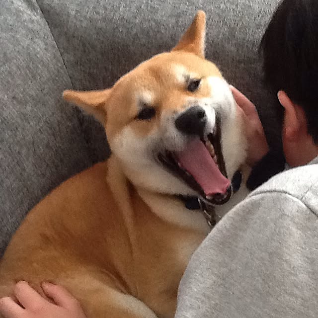 kotaさんの実例写真