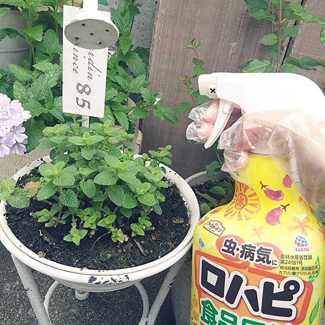 komari-usagiさんの部屋
