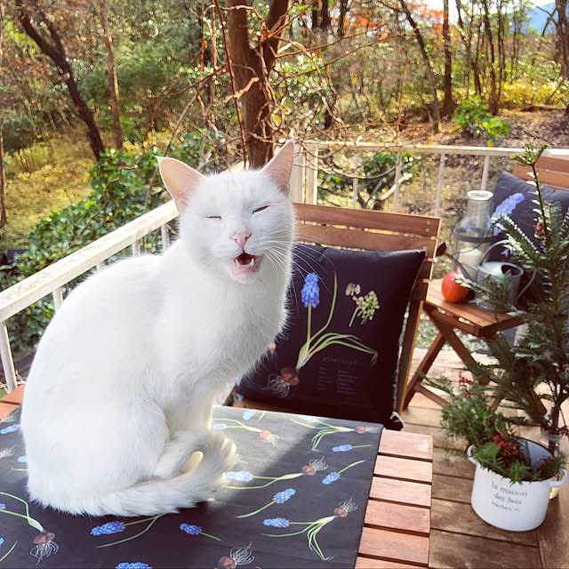 weさんの実例写真