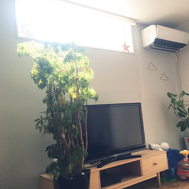 watanabe.sさんの実例写真