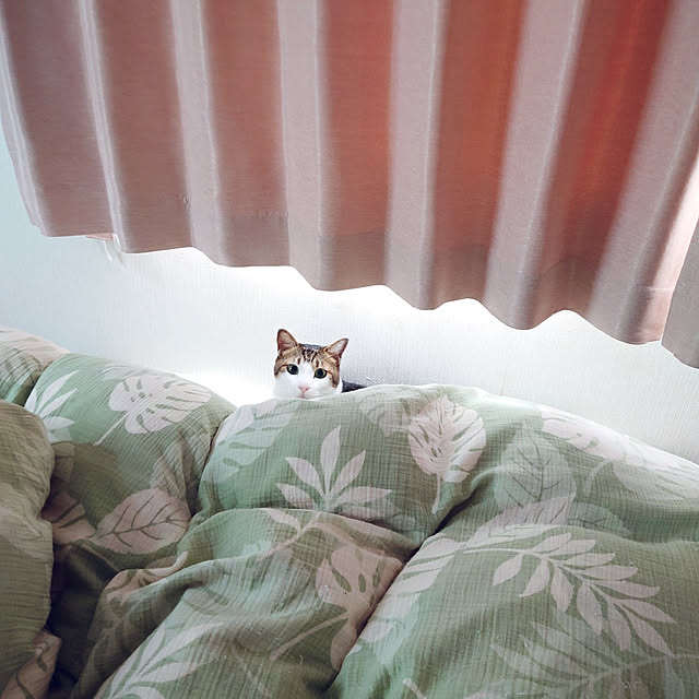 nachiさんの実例写真