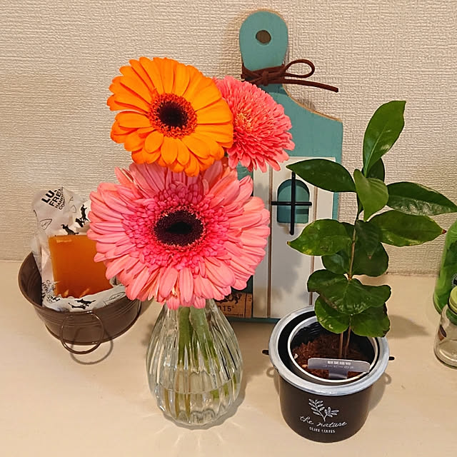 Youkoさんの実例写真