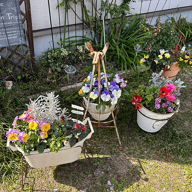 portulacaさんの部屋