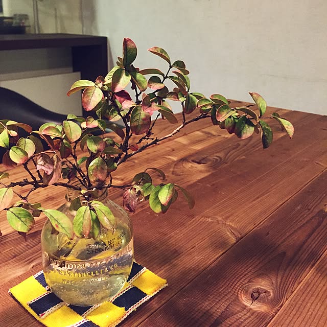 kktg0319さんの実例写真