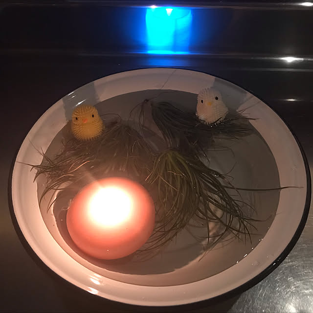miporinさんの実例写真