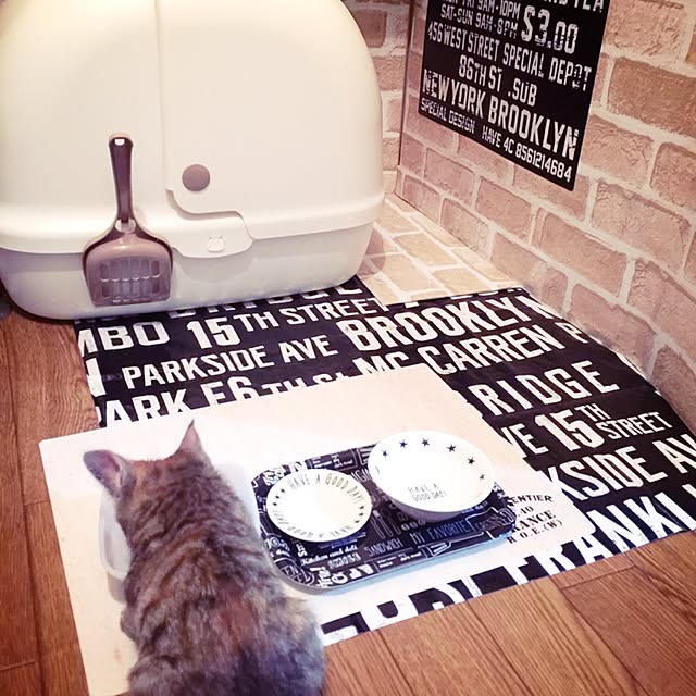 chaiさんの部屋