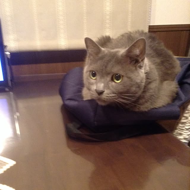 chikaさんの実例写真