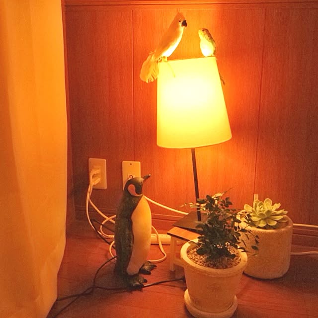 Yuichiさんの実例写真