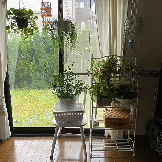 himetanさんの実例写真