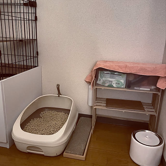 Chisaさんの実例写真