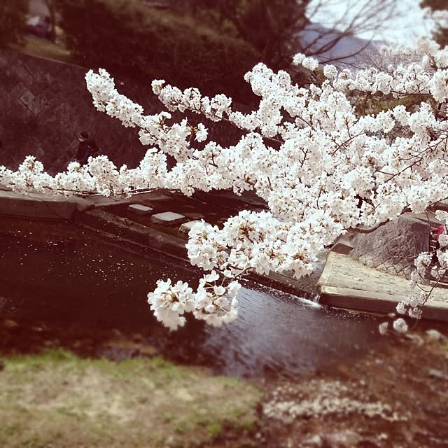 Akikoさんの実例写真