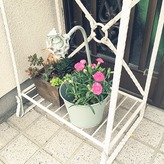 sakuraさんの実例写真