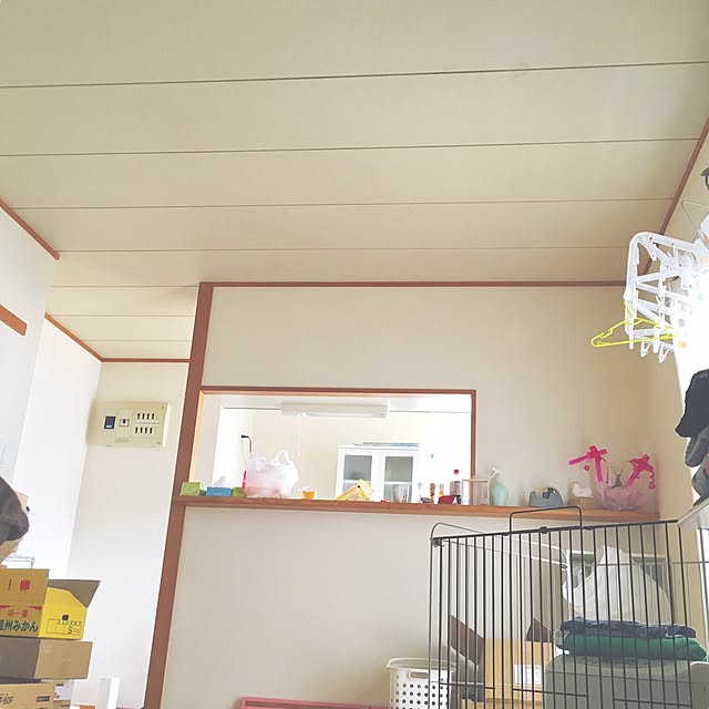 mtzk_1さんの実例写真