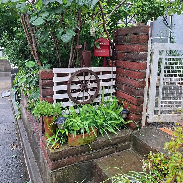 midoriさんの実例写真