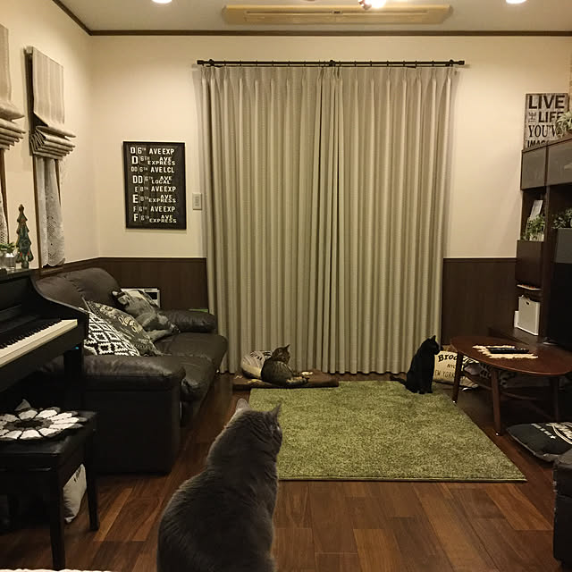 chikaさんの実例写真