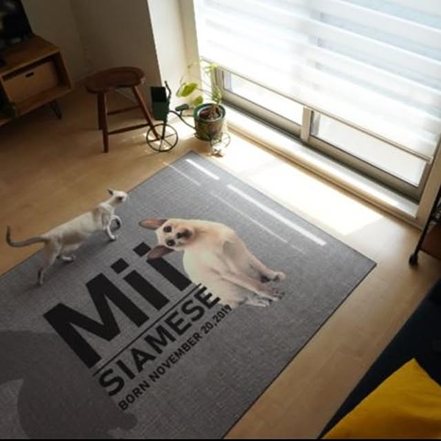 DIY_SHOP_RESTAさんの実例写真