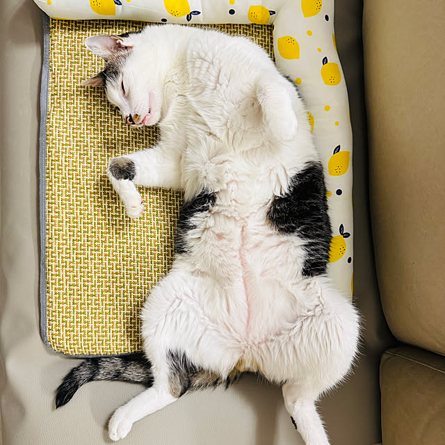 pcu110さんの部屋