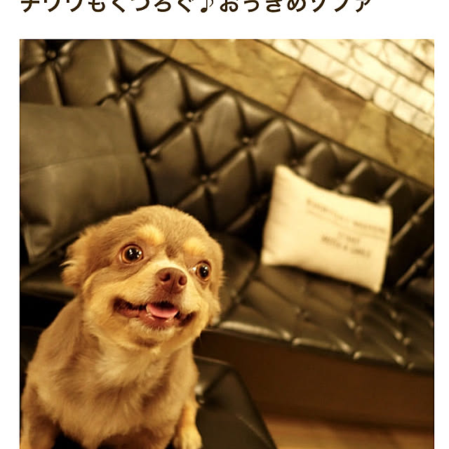 Kazuyoshiさんの実例写真