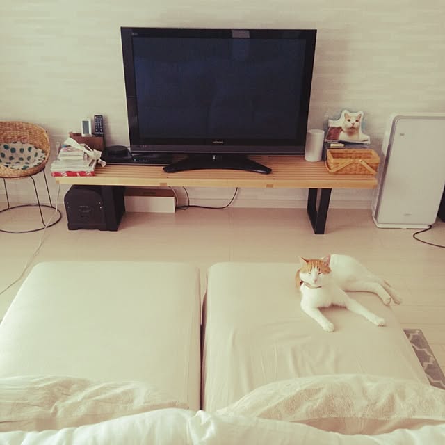 3110さんの実例写真