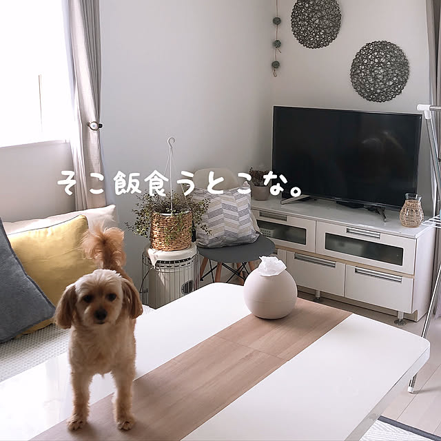 qooさんの実例写真