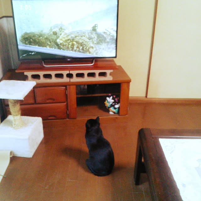 Tomopさんの実例写真