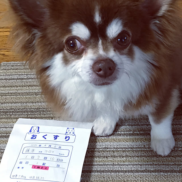 chIoeさんの実例写真