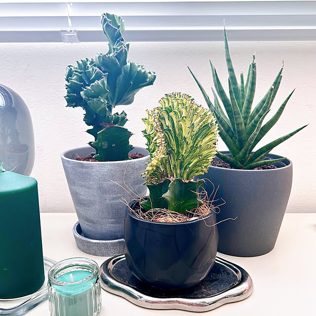 mako2yaさんの部屋