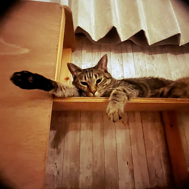 Mさんの部屋