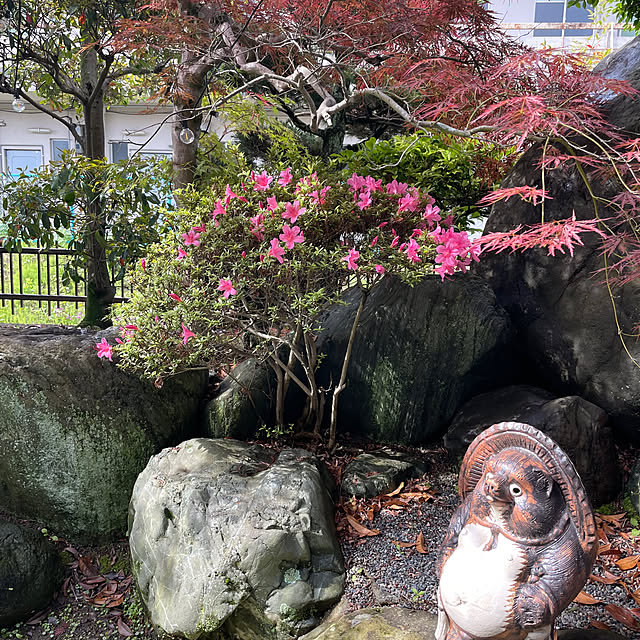 shin0719さんの実例写真