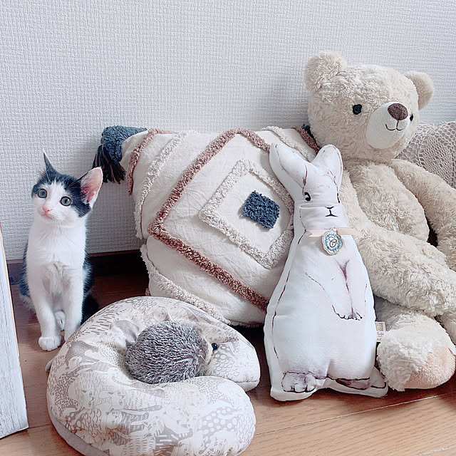 harukaさんの実例写真