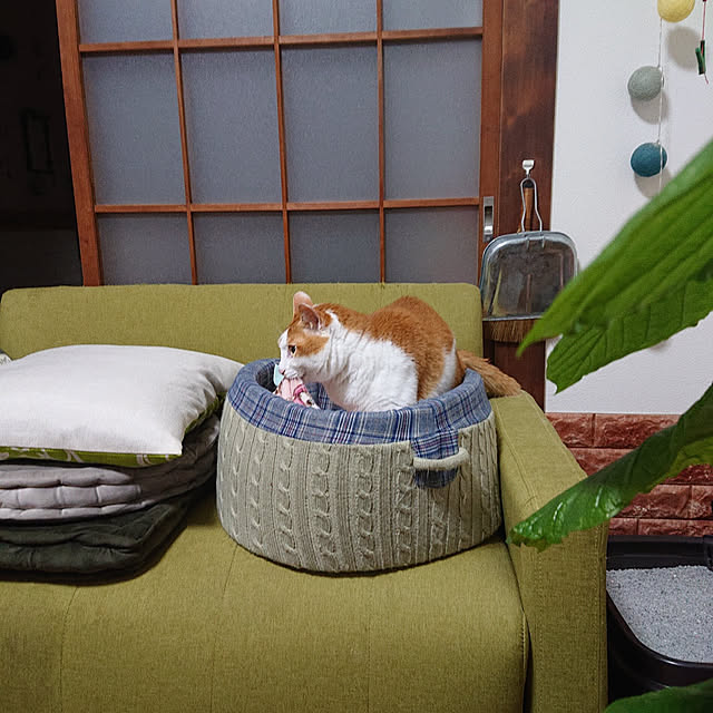 mugi77327732さんの実例写真