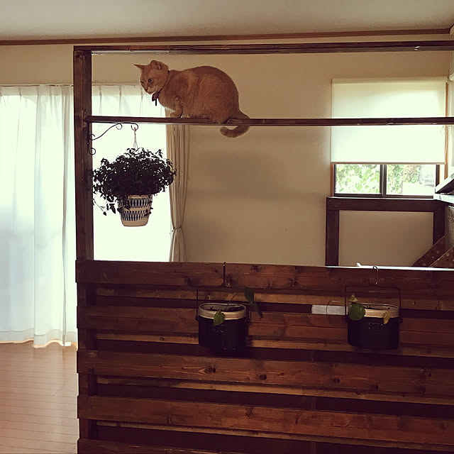 mikan161さんの実例写真