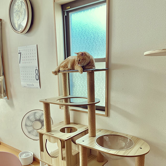 chiiさんの部屋