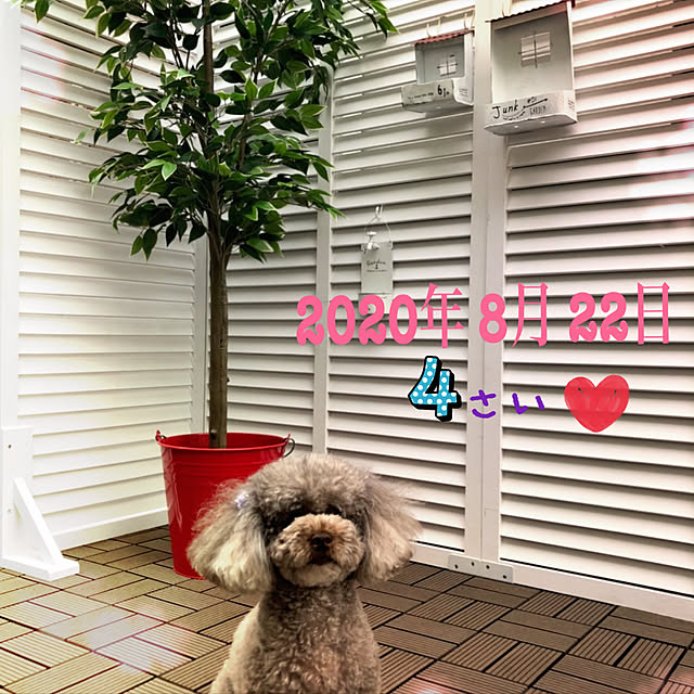 nfy117さんの実例写真