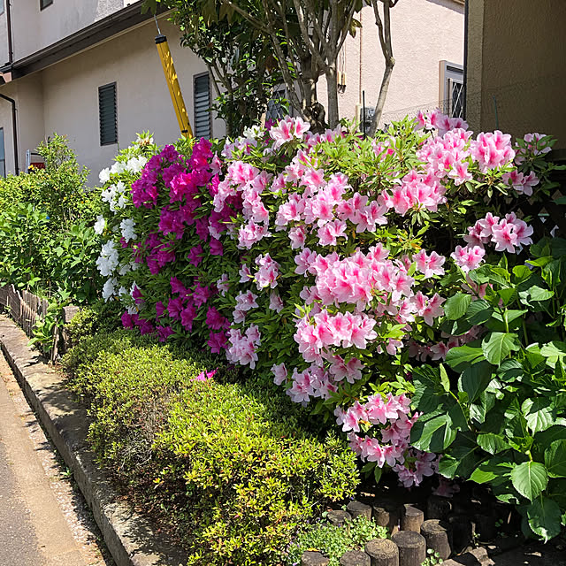 maron915さんの実例写真