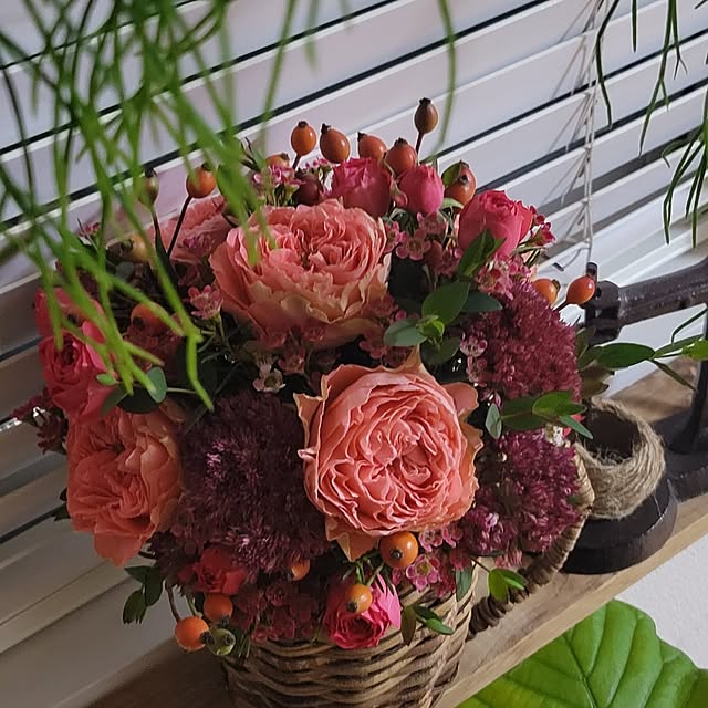 akiak.3さんの部屋