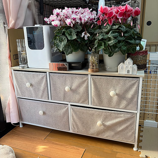 momoさんの実例写真