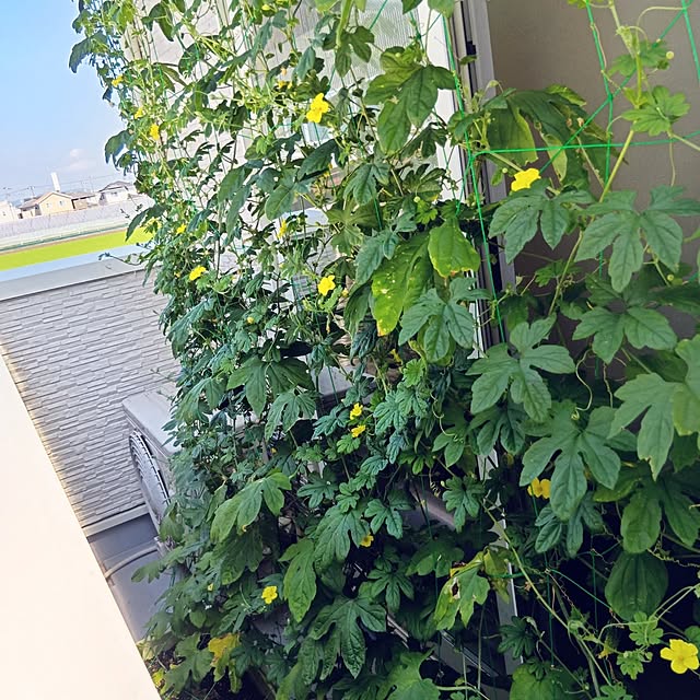 H+M+S...HappyLife...さんの部屋