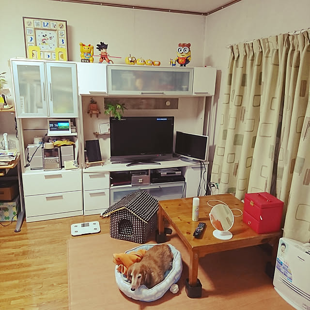 Shimaさんの実例写真
