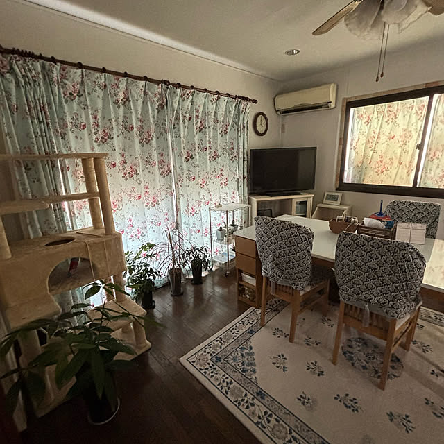 momocchiさんの部屋