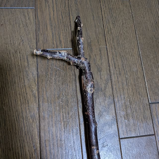 asaさんの実例写真