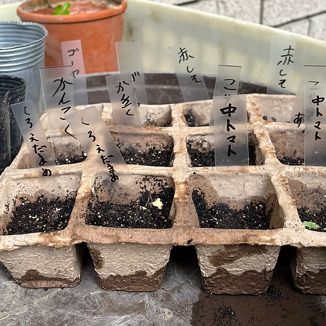 botanさんの部屋