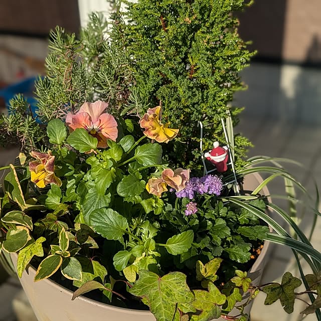 tototo..12.さんの実例写真