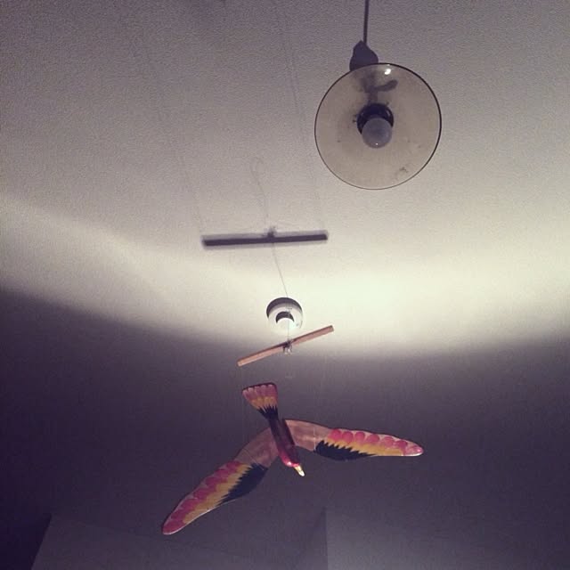 wanarchyさんの実例写真